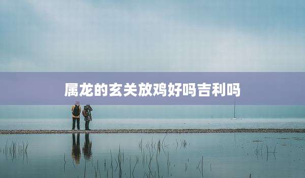 属龙的玄关放鸡好吗吉利吗