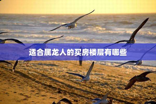 适合属龙人的买房楼层有哪些