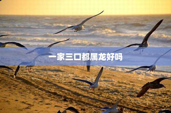 一家三口都属龙好吗