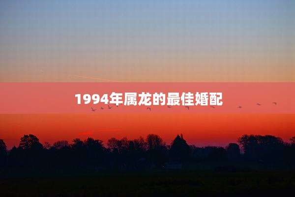 1994年属龙的最佳婚配