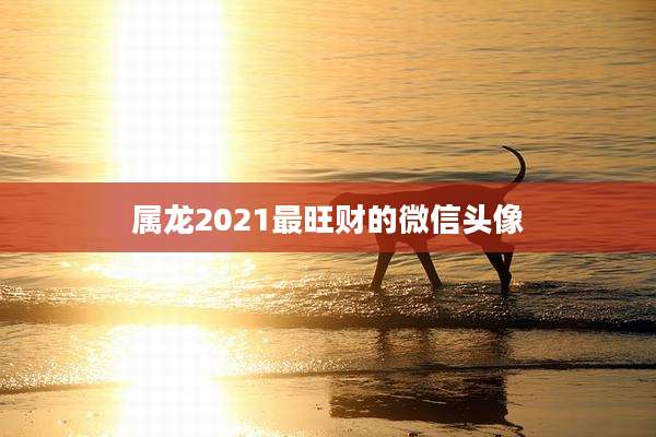 属龙2021最旺财的微信头像