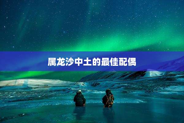 属龙沙中土的最佳配偶