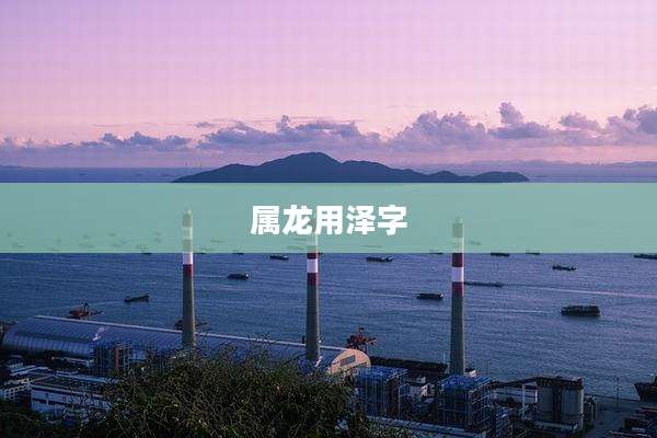 属龙用泽字