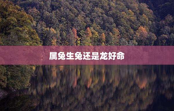 属兔生兔还是龙好命