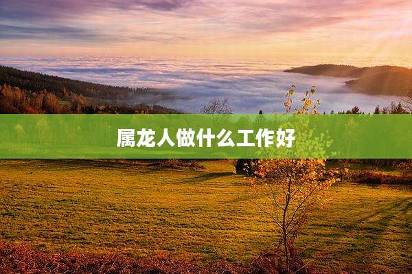 属龙人做什么工作好