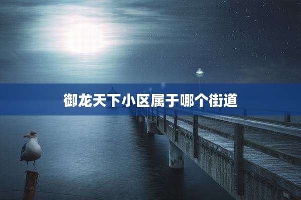 御龙天下小区属于哪个街道