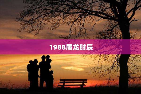1988属龙时辰