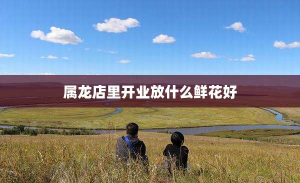 属龙店里开业放什么鲜花好