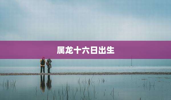 属龙十六日出生