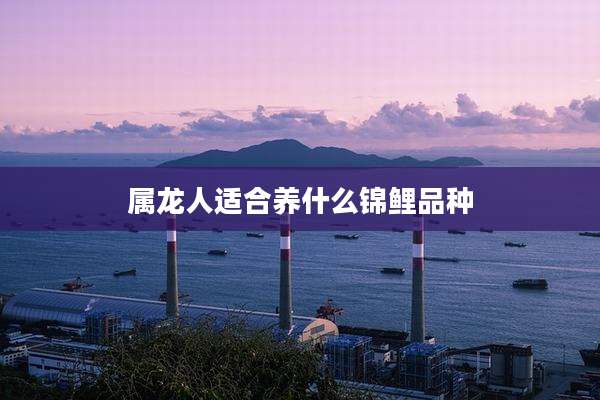 属龙人适合养什么锦鲤品种