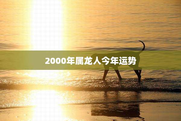 2000年属龙人今年运势