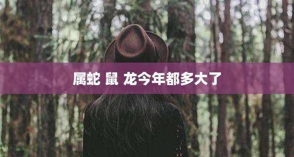 属蛇 鼠 龙今年都多大了