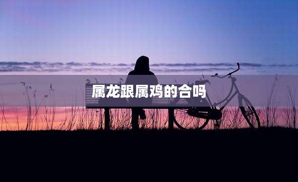 属龙跟属鸡的合吗