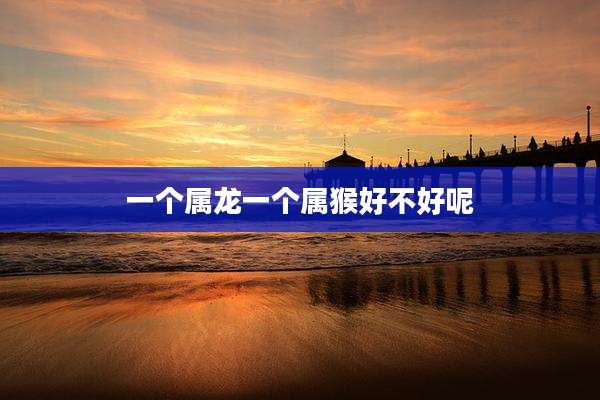 一个属龙一个属猴好不好呢