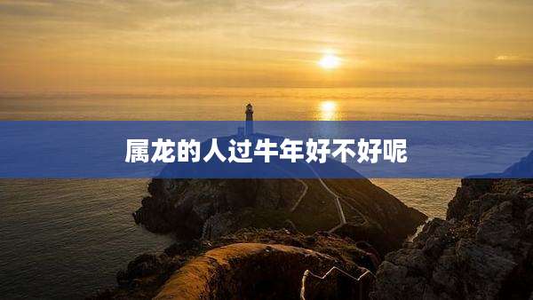 属龙的人过牛年好不好呢
