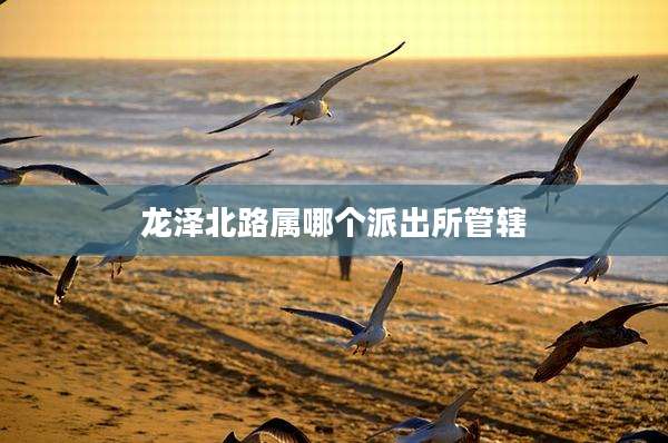 龙泽北路属哪个派出所管辖