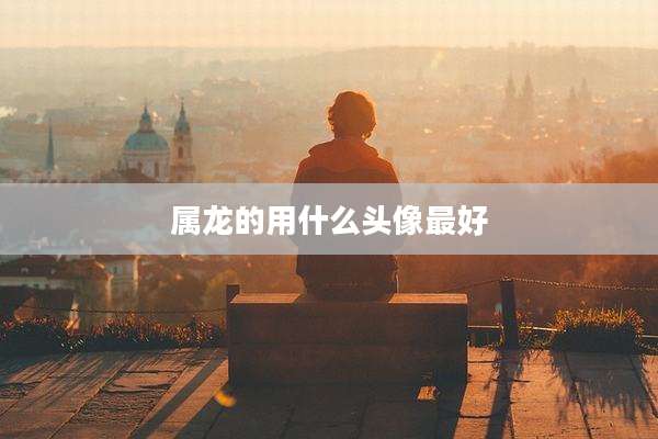属龙的用什么头像最好