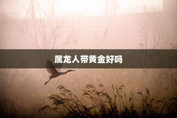 属龙人带黄金好吗