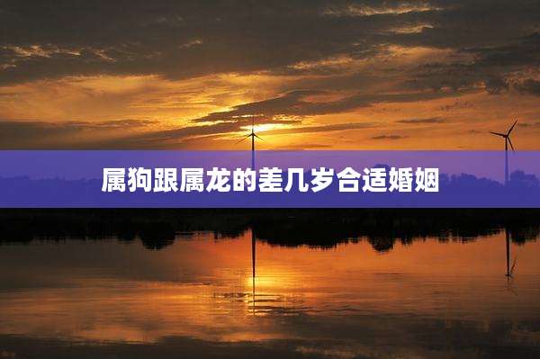 属狗跟属龙的差几岁合适婚姻