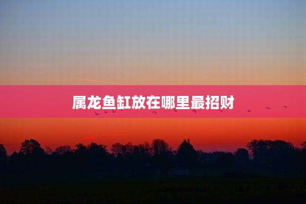 属龙鱼缸放在哪里最招财