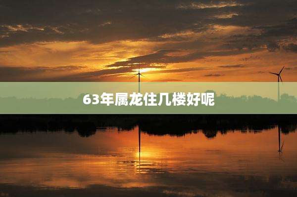 63年属龙住几楼好呢