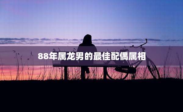 88年属龙男的最佳配偶属相