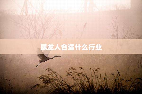 属龙人合适什么行业