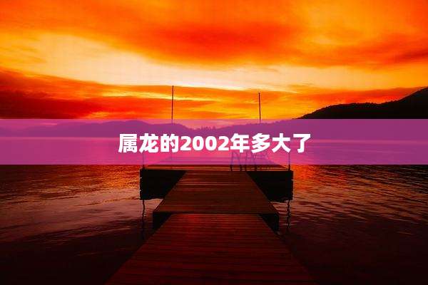 属龙的2002年多大了