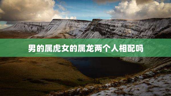 男的属虎女的属龙两个人相配吗