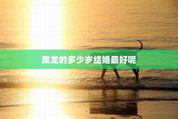 属龙的多少岁结婚最好呢