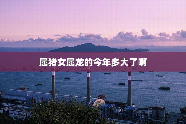 属猪女属龙的今年多大了啊