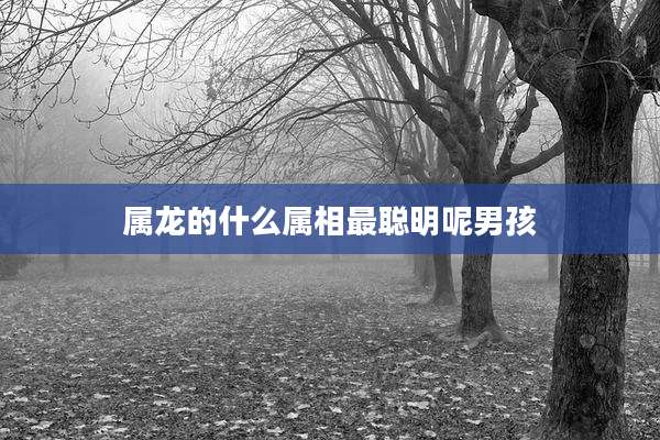 属龙的什么属相最聪明呢男孩