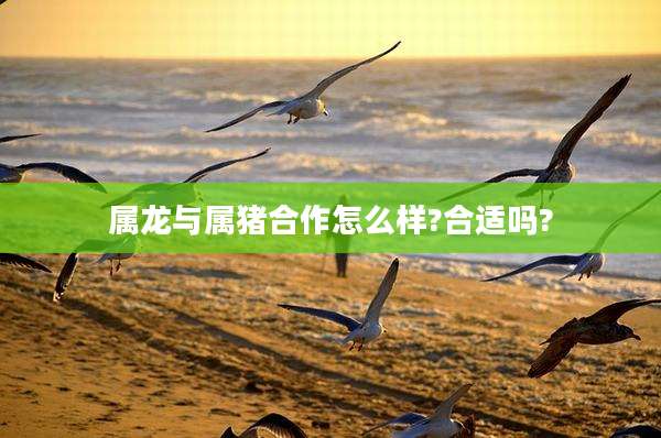 属龙与属猪合作怎么样?合适吗?