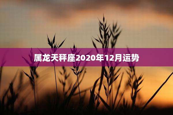 属龙天秤座2020年12月运势