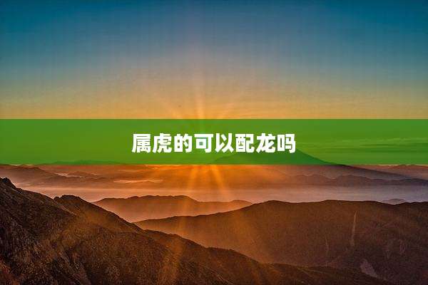 属虎的可以配龙吗