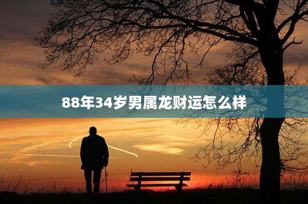 88年34岁男属龙财运怎么样