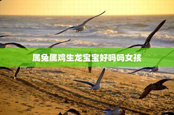 属兔属鸡生龙宝宝好吗吗女孩