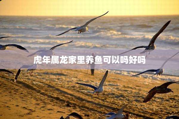 虎年属龙家里养鱼可以吗好吗