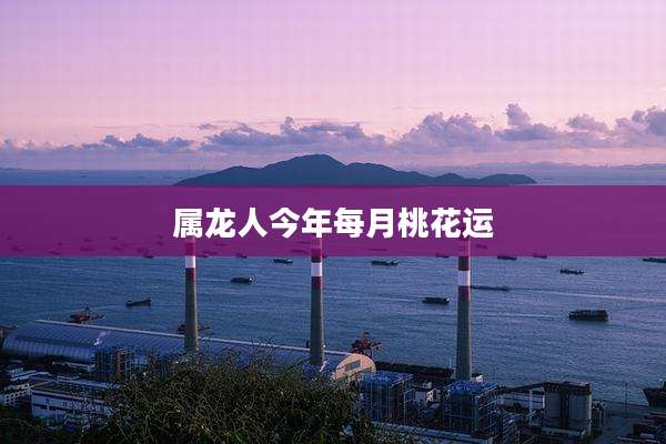 属龙人今年每月桃花运