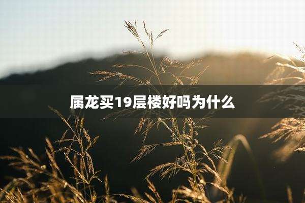 属龙买19层楼好吗为什么
