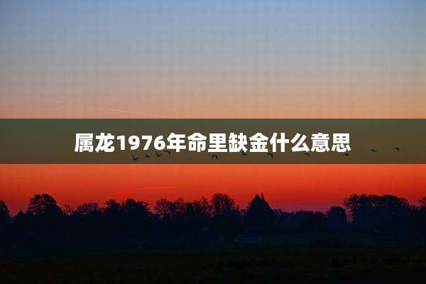 属龙1976年命里缺金什么意思