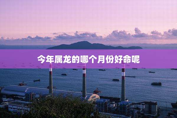 今年属龙的哪个月份好命呢
