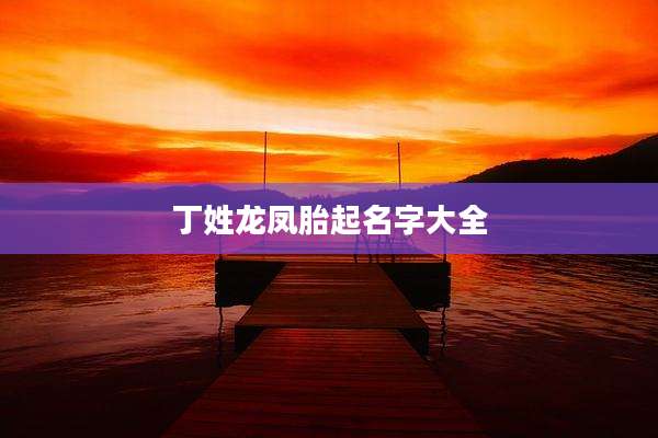 丁姓龙凤胎起名字大全