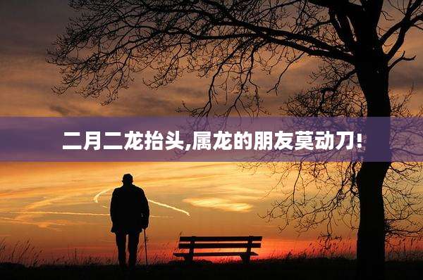 二月二龙抬头,属龙的朋友莫动刀!
