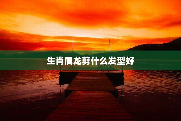 生肖属龙剪什么发型好