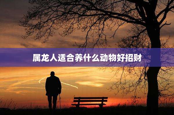 属龙人适合养什么动物好招财