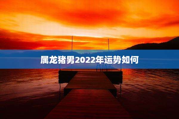 属龙猪男2022年运势如何