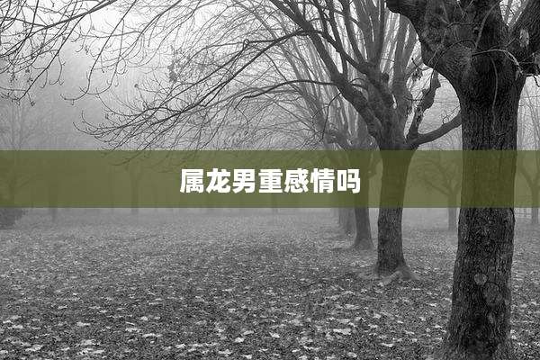 属龙男重感情吗