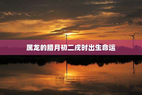 属龙的腊月初二戌时出生命运