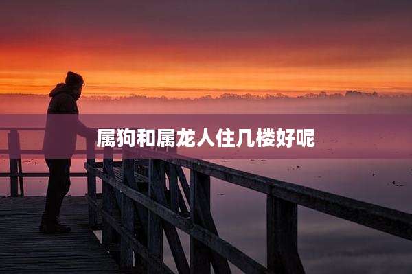 属狗和属龙人住几楼好呢